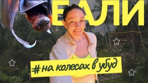 Бали: Камера в зубах летучей лисицы: безумный день в Убуде