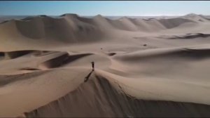 Правдивая Ольга. Лёля Быкова. Совсем слетела с катушек. Снова ему досталось. Деревенский дневник.