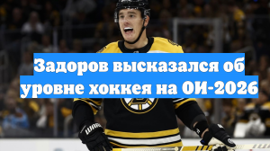 Задоров высказался об уровне хоккея на ОИ-2026