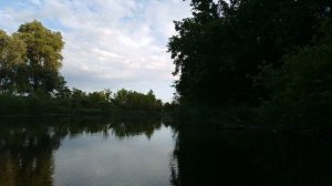 В поиске рыбы