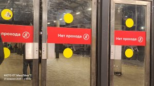 Комментарии про Жоржа, задаю свои вопросы зрителям