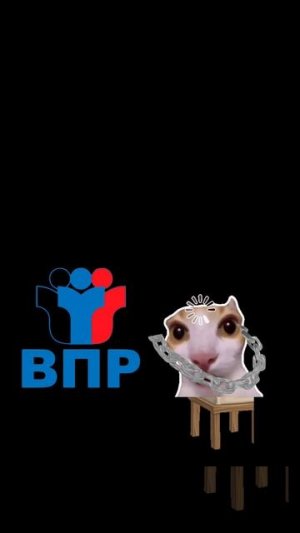 впр😭