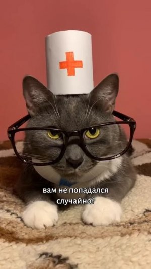 ЕСЛИ БЫ КОТИКИ СБЕГАЛИ ИЗ ПСИХУШКИ