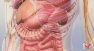 ...Что такое Аппендицит....