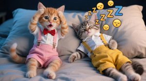 Как помочь котенку Рыжику заснуть, когда Майло храпит слишком громко 😹💤