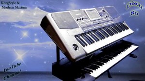 KorgStyle-Журавли_Korg_Pa_900_Krome