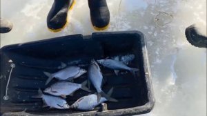 23 февраля 2026