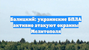 Балицкий: украинские БПЛА активно атакуют окраины Мелитополя