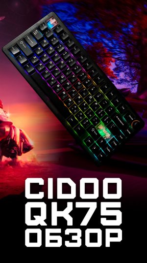 Программируемая механическая клавиатура | У меня в руках Cidoo QK75