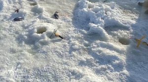 VID_20260223_110327_555