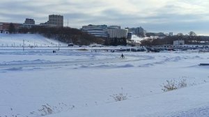 Конные бега