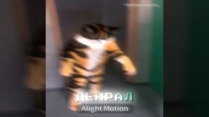 Куки/SlivkiShow эдит#Куки #Кот #Коты #нейрокотик #нейрокотики #Сливкишоу #КукиСливкишоу #Эдит