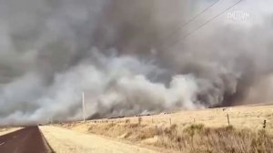 Лесной пожар в США