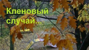 Музыка без границ. Кленовый случай (городская лирика, шансон)...