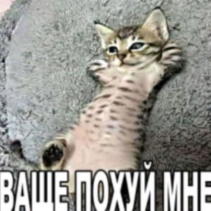 мир танков