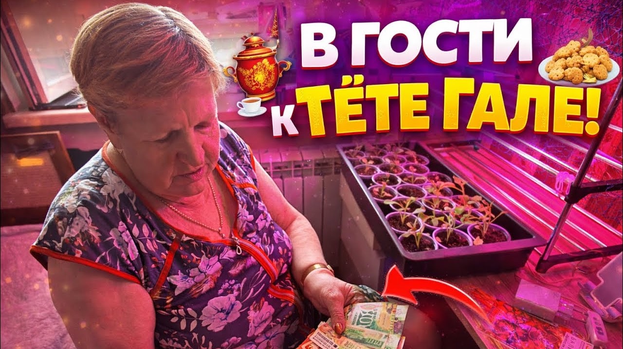 🔥 К ТЁТЕ ГАЛЕ В ГОСТИ! смотреть онлайн