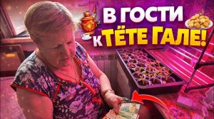 🔥 К ТЁТЕ ГАЛЕ В ГОСТИ!