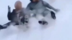 Собачья атака