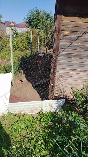 Ворон Гриша, выбор места для вольера