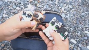 ✨ От пляжа к пещере: пушистики ищут приключения