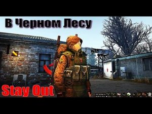 ⭐Stay Out⭐В Черном Лесу . НЕ РАБОТАЕТ ЮТУБ VK - PLAY /