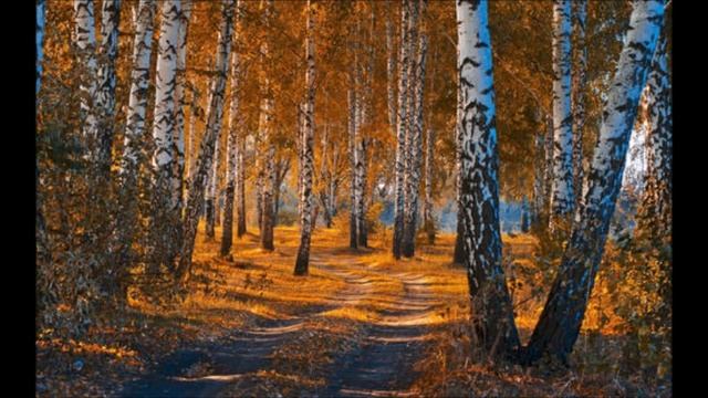 Мама звонит десять раз в день от скуки и обвиняет меня в равнодушии, когда не беру трубку смотреть онлайн