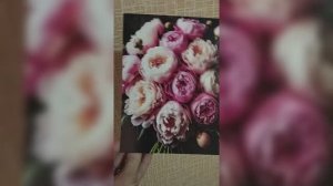 Отзыв: Печатный Рай — Открытки на заказ | Печать и отправка по России