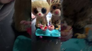 Гепардик сделал коктейли со своей подругой Аникой