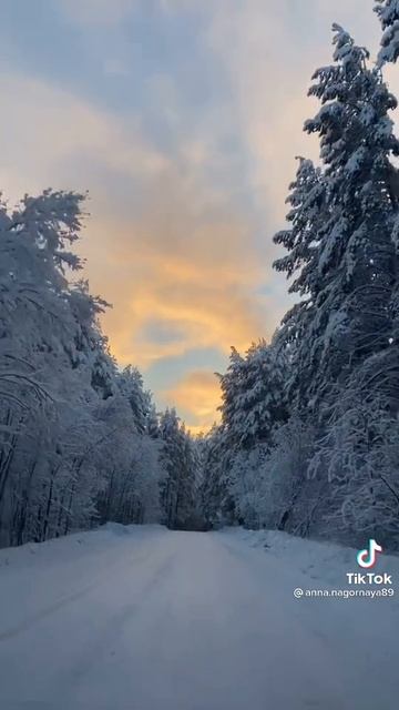 юмор из жизни смотреть онлайн