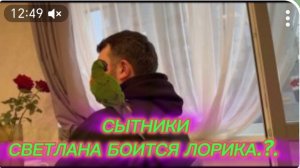 САМВЕЛ АДАМЯН, СЫТНИКИ, СВЕТЛАНА БОИТСЯ ЛОРИКЕТА.?.
