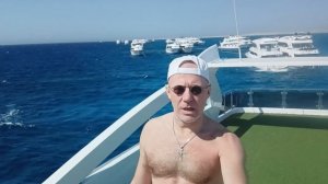 Красное море, у рифов.