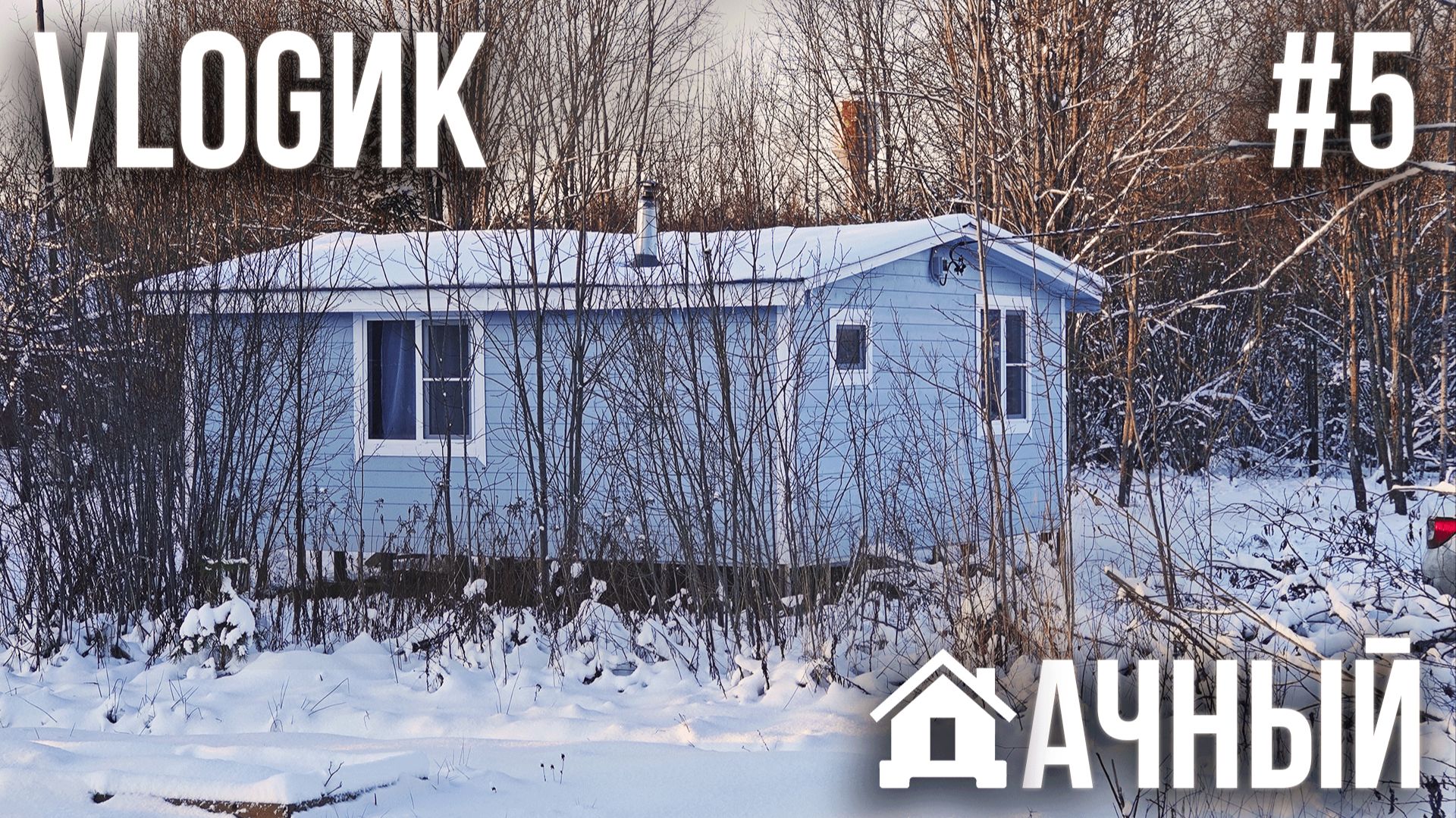 ДАЧНЫЙ VLOGик #5. РАСПАКОВКА ПОДАРКОВ. ЕДЕМ НА ДАЧУ С КОТАМИ. РЕЦЕПТЫ С КРИСТИНОЙ. ЗИМНИЙ ВАЙБ