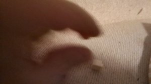 Первый ролик