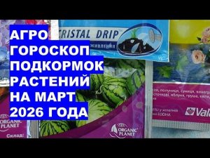 Март 2026: Самые Лучшие Дни для Подкормок Растений Удобрениями?!