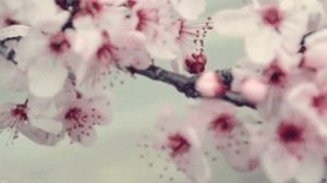 Михаил Кармаш - Я бежал тебе навстречу