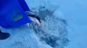 Обстановка на водоеме !