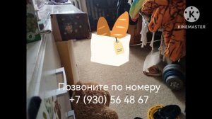 Mr. Булочка, реклама (23.2.2026 г.)