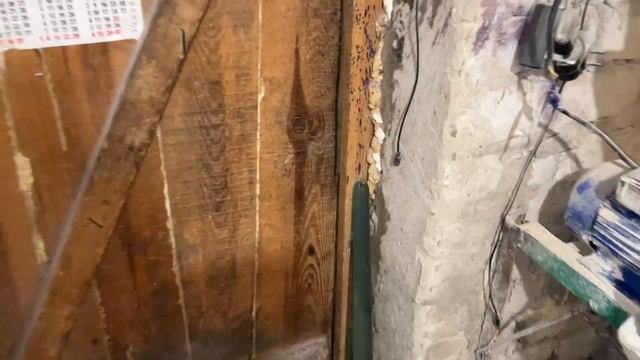 Саня Новиков/Ждём покупателя. Индюшка пошла на поправку 🦃 смотреть онлайн