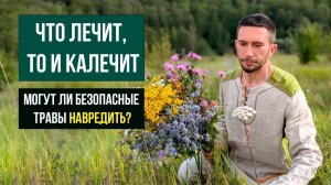 Правда о дозировках трав и как не запутаться в фитотерапии