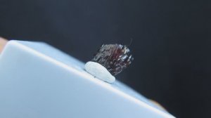 Пейнит купить