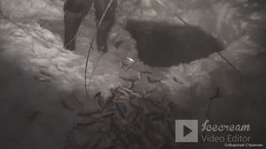 рыбалка на ЭКРАН ПОДЪЁМНИК.я в шоке от улова