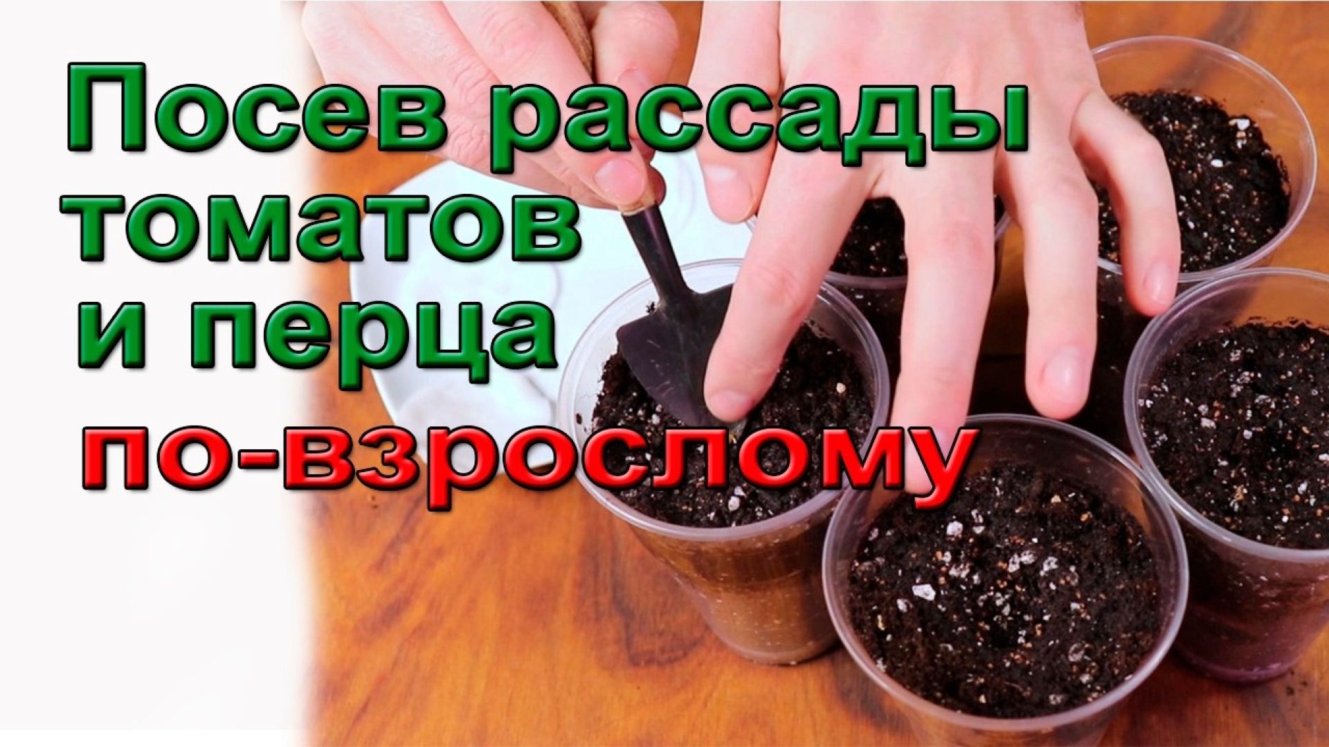 Посев рассады томатов и перца по-взрослому смотреть онлайн