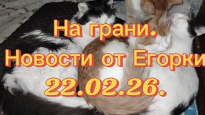 На грани.Новости от Егорки 22.02.26.