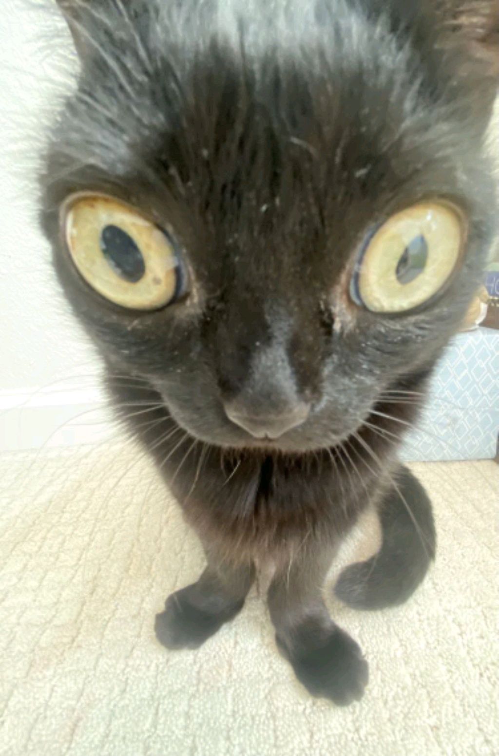 бас смотреть онлайн