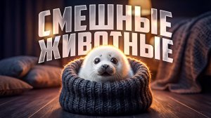 Животные, которые вас насмешат