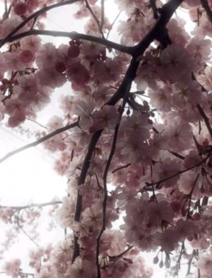 ДЕВОЧКИ ЗАНИМАЮТСЯ ФИГНЁЙ