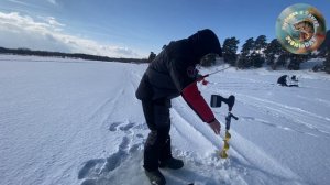 ЛОВЛЯ НА БАЛАНС ПО сПоРтИвНоМу🎣✅💪