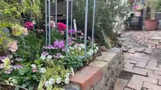 🌿🌹сад 🌿🌹 🌿🌹сад 🌿🌹