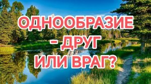 21.02.2026  Однообразие: Враг или Друг?