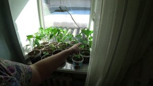 Влог от 08.04.2022